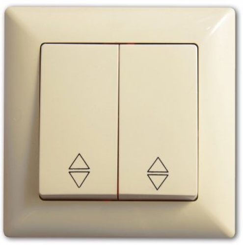 Double 2-way switch